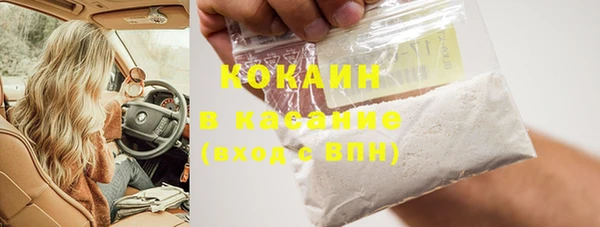 индика Алексеевка