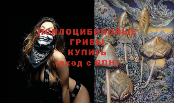 mix Алексин