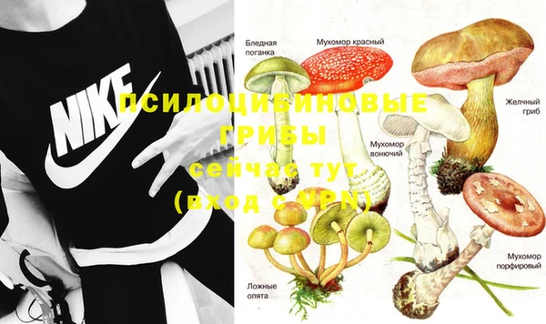 индика Алексеевка