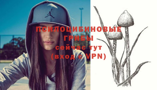 бутират Алзамай