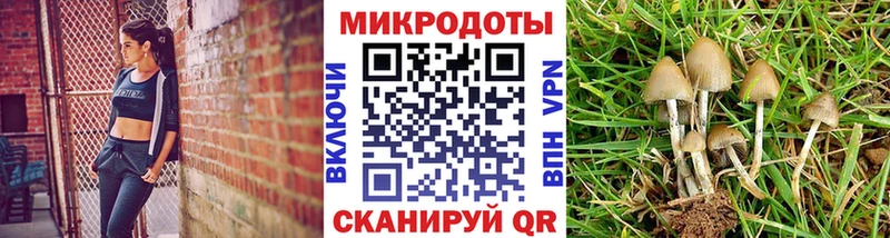где купить наркоту мега как зайти Галлюциногенные грибы MAGIC MUSHROOMS Еманжелинск