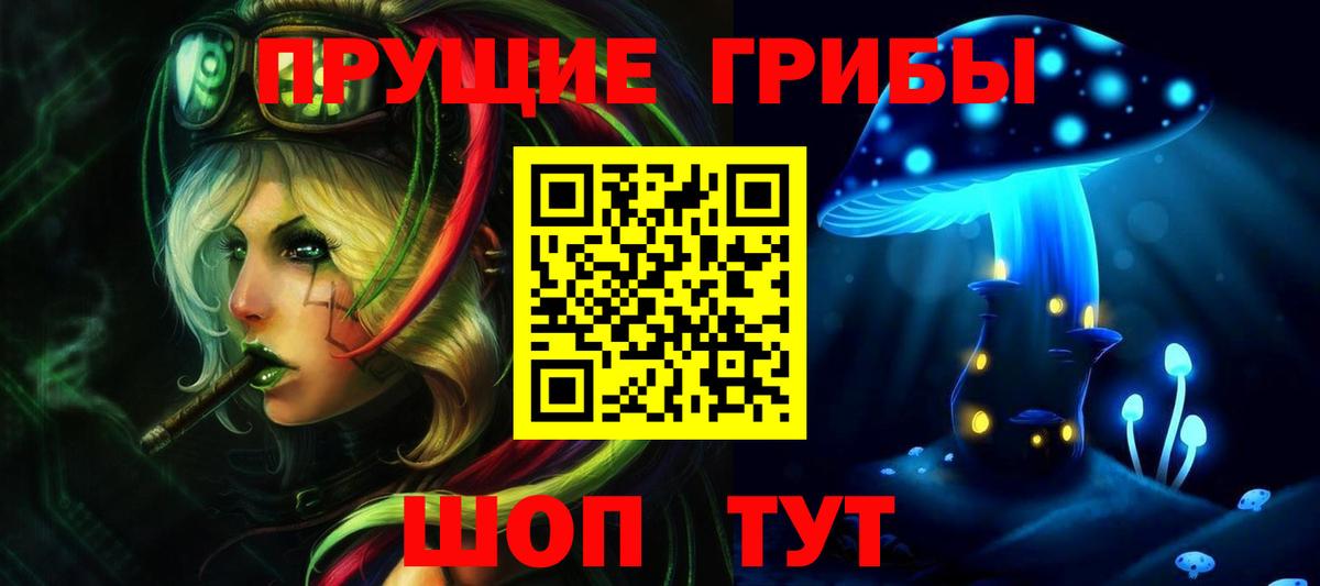 Галлюциногенные грибы Psilocybe  Вход с VPN  Еманжелинск 